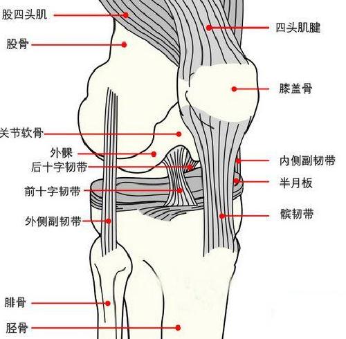 byb.cn